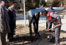 گزارش تصویری از آئیین درختکاری و تقدیر ازهمکاران فضای سبز دانشگاه